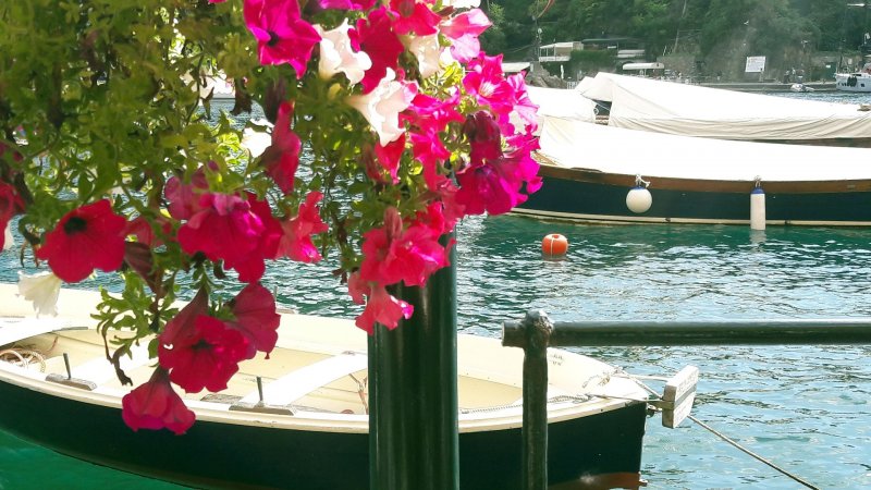 Liguria