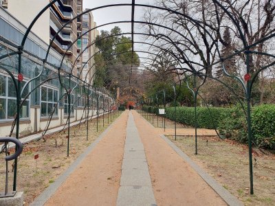 Real Jardin Botanico 2024