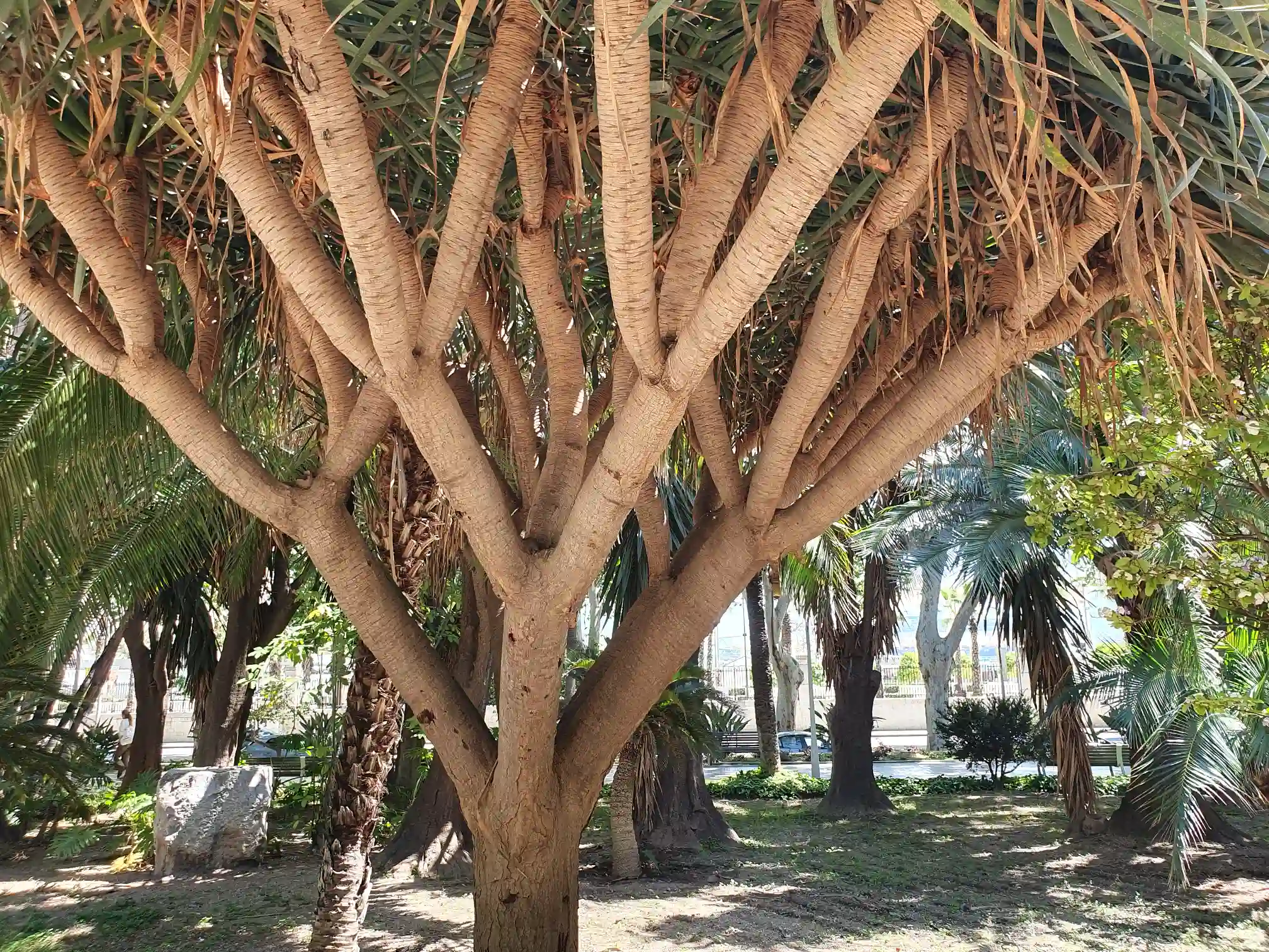 Malaga Parque de Malaga