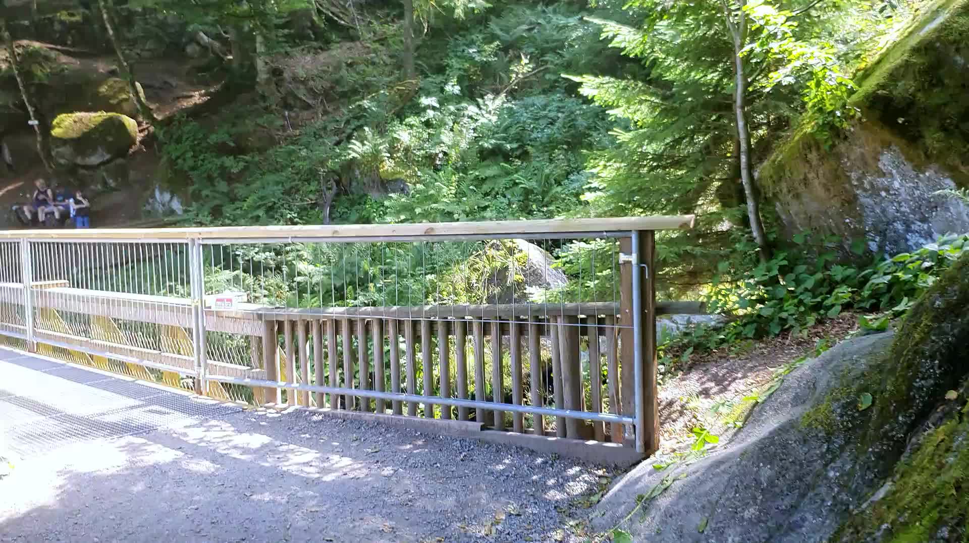 Video Triberger Wasserfall - 2025