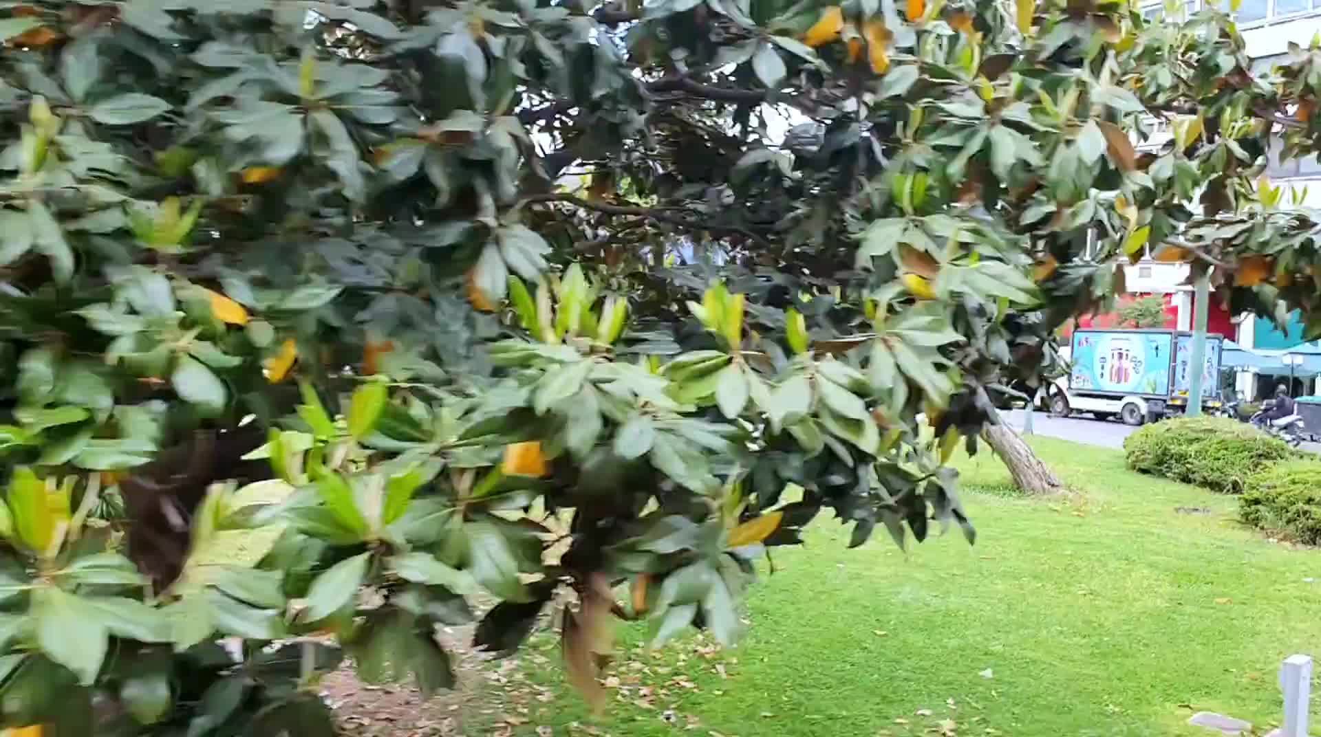 stadtrundfahrt-athen_005.mp4