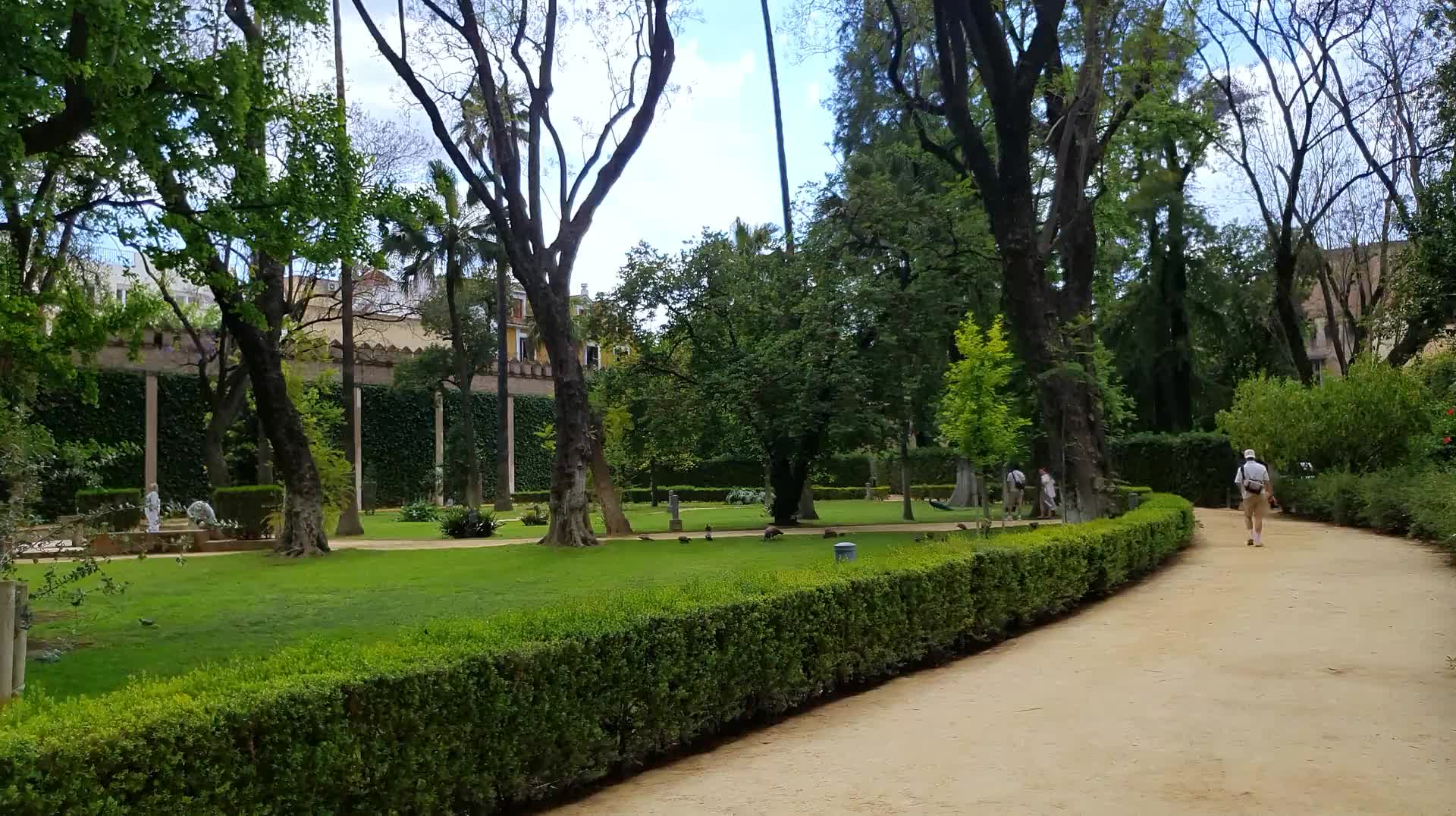 VID_20250506_172725.mp4